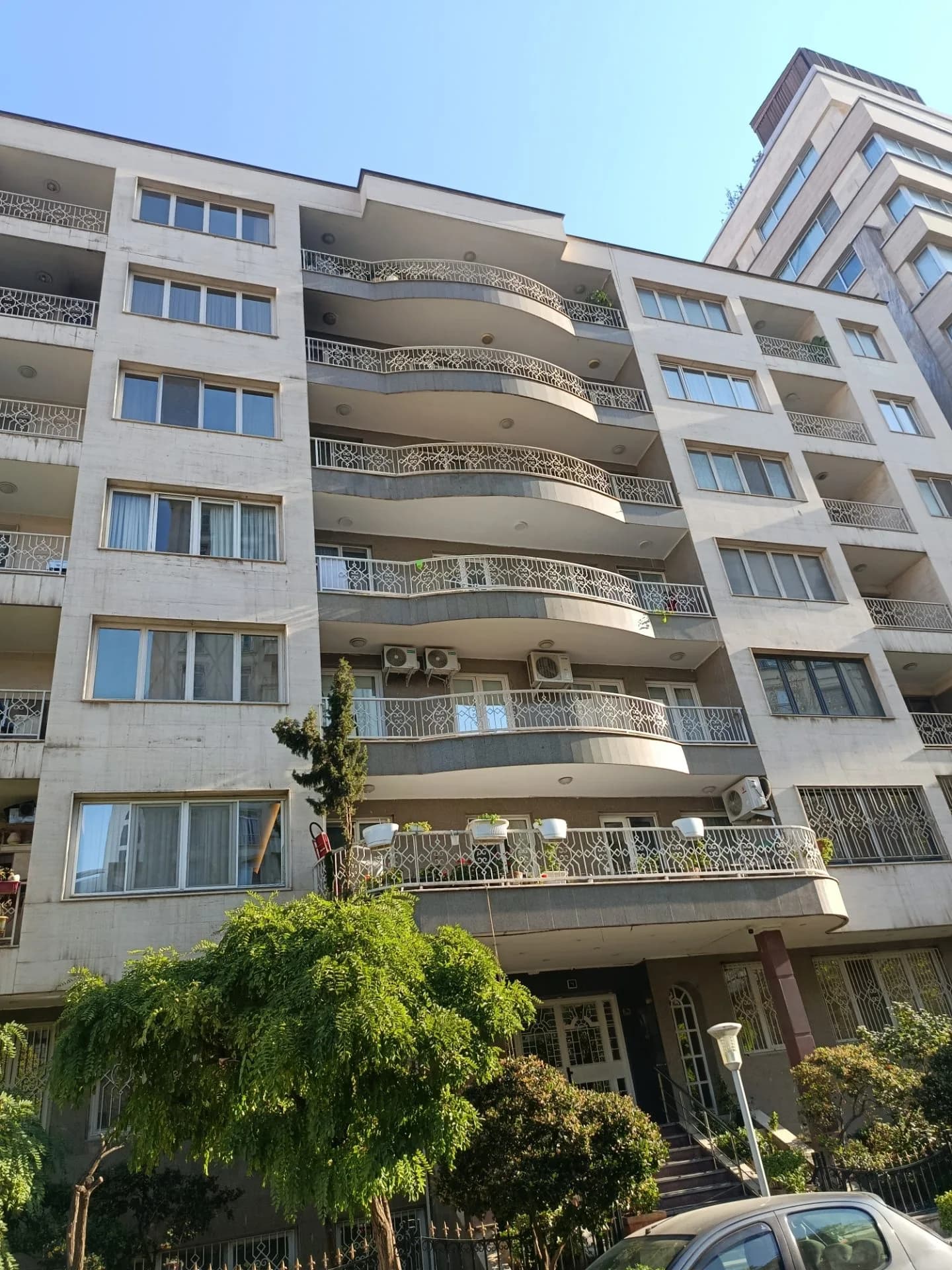 200متر بالای کاج